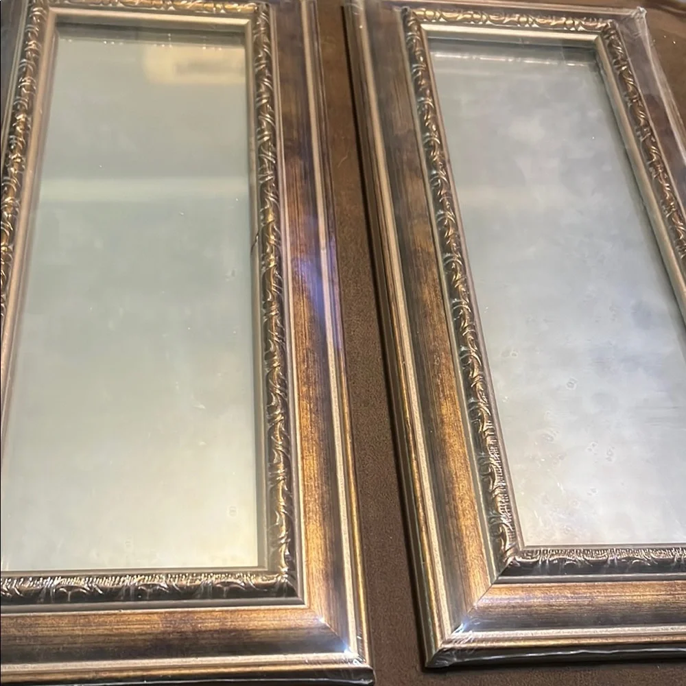 Elegant Gold and Brown Framed Mirrors